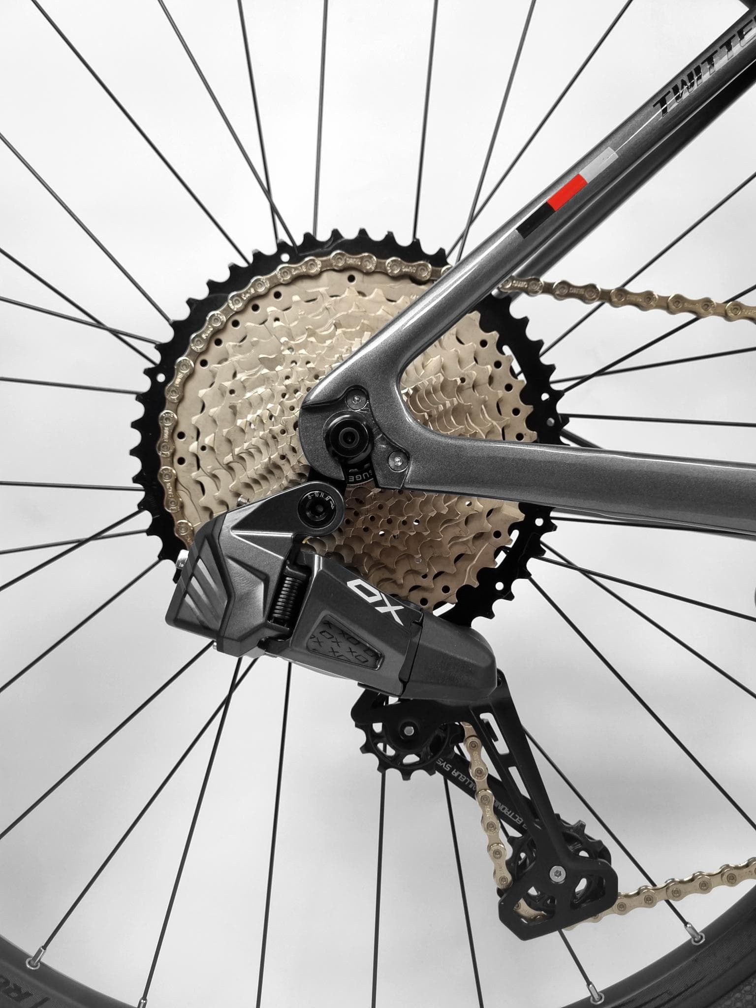 TWITTER LEOPARD CARBONO  M (17") foto 4